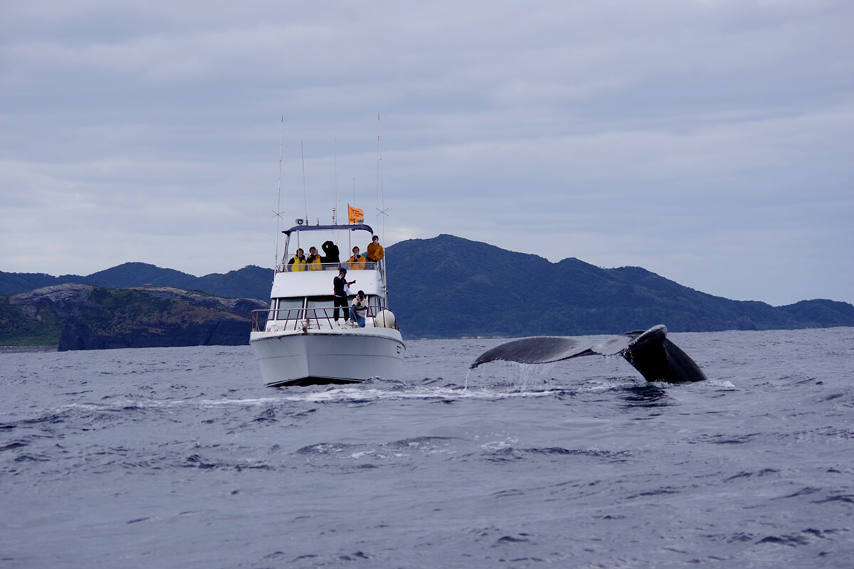 ツアー参加者にもストレスを与えない