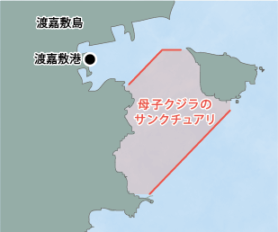 設定区域：渡嘉敷島