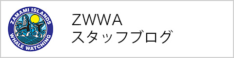 協会スタッフブログ