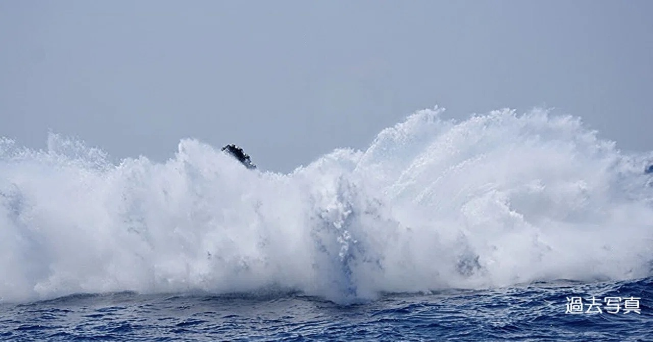 今日もファーストコンタクトは大アクション！