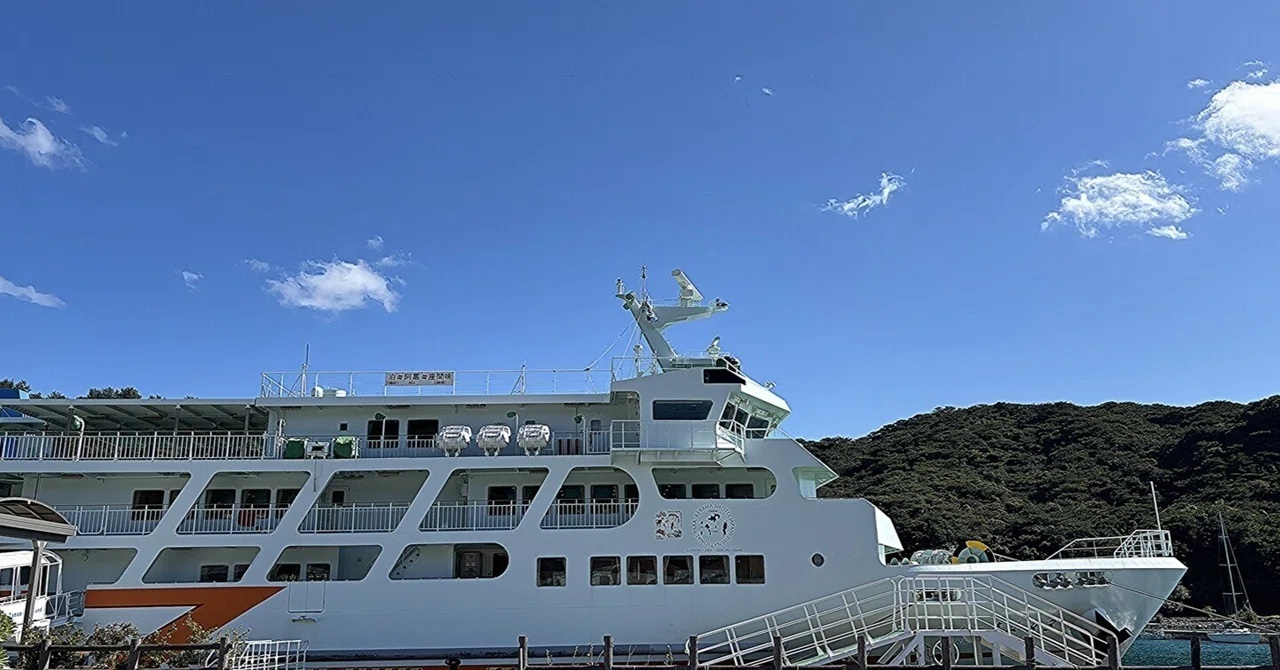 クジラシーズンスタート!