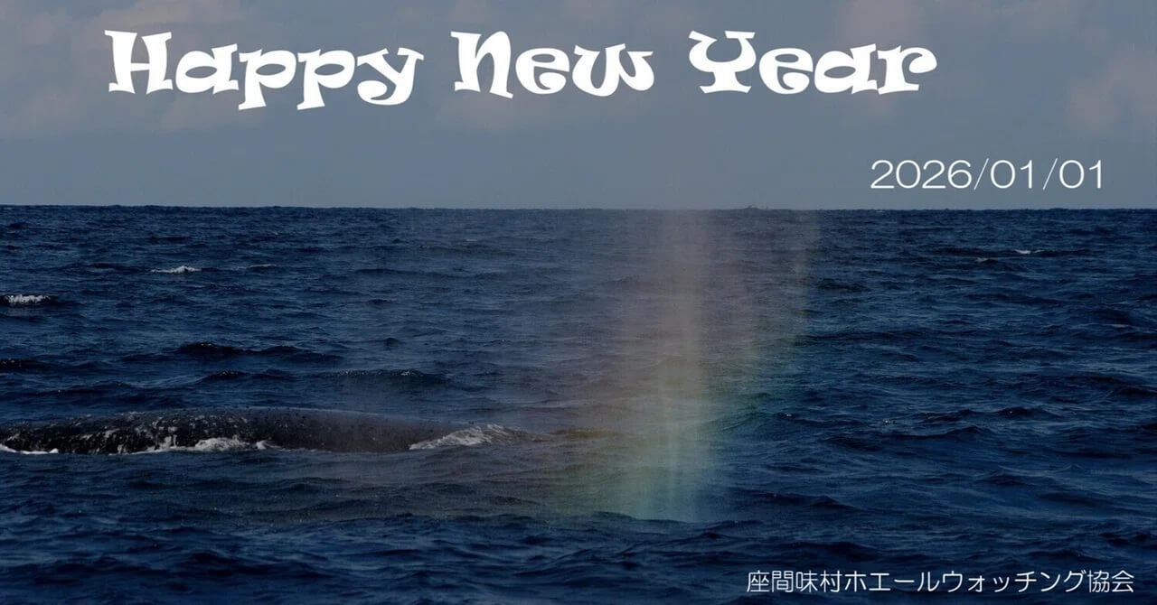 あけましておめでとうございます