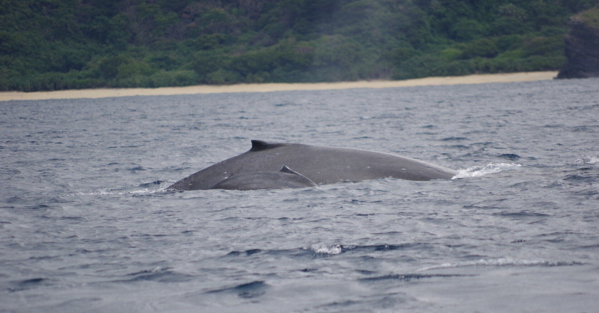 子どもが可愛くて可愛くて仕方ない?お母さん