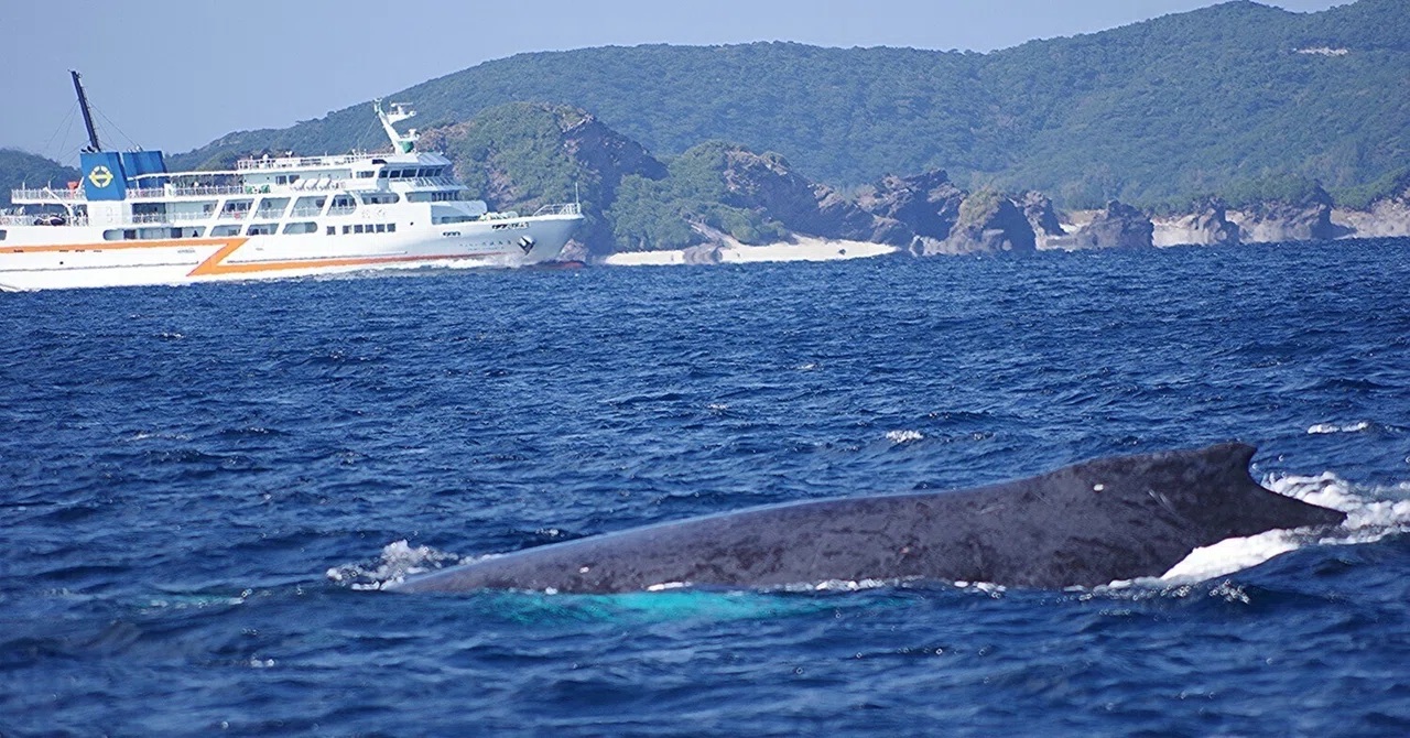 お母さんの隣 取らないで~