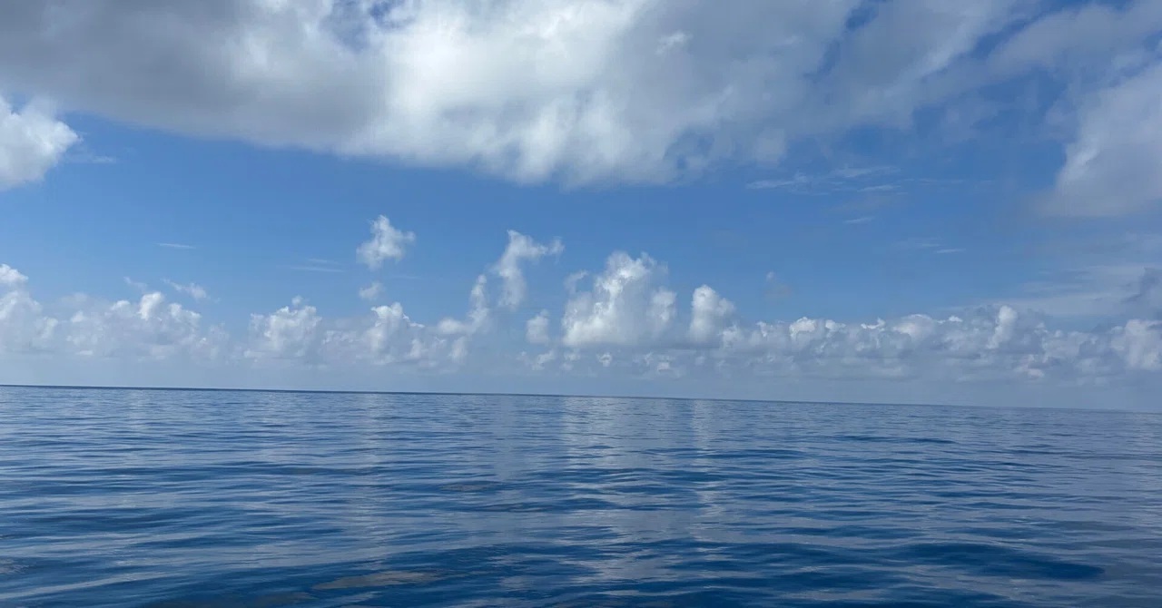 穏やかすぎる今日の海