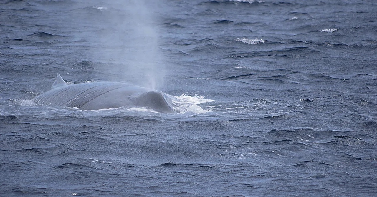 親子は一緒が やっぱり微笑ましい~♪