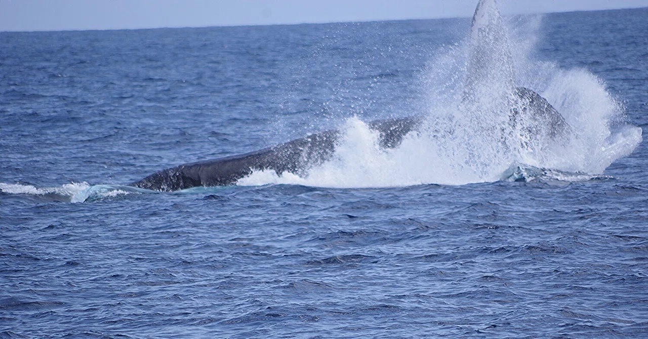 ちょっとだけ　賑わいが戻ったぁ