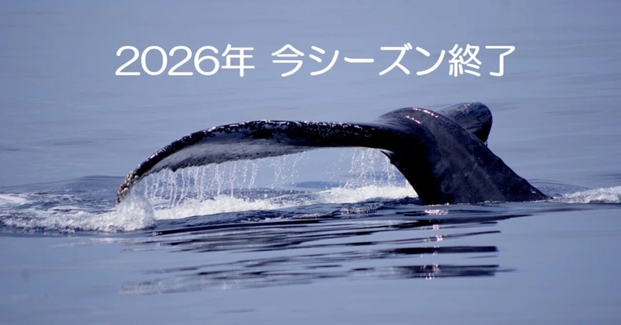 2026年 今シーズンもありがとうございました!