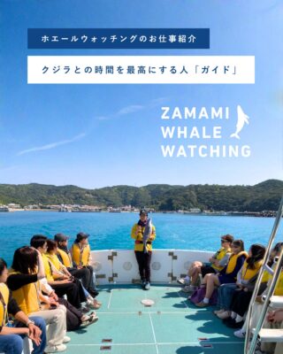 座間味村ホエールウォッチング協会 | クジラと人が共に生きる、世界に